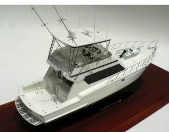 Hatteras 58 "Freezone"
