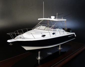 WELLCRAFT 290 Coastal custom model