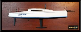 Santa Cruz 37 half model
