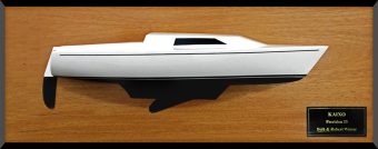 Precision 23 custom half model